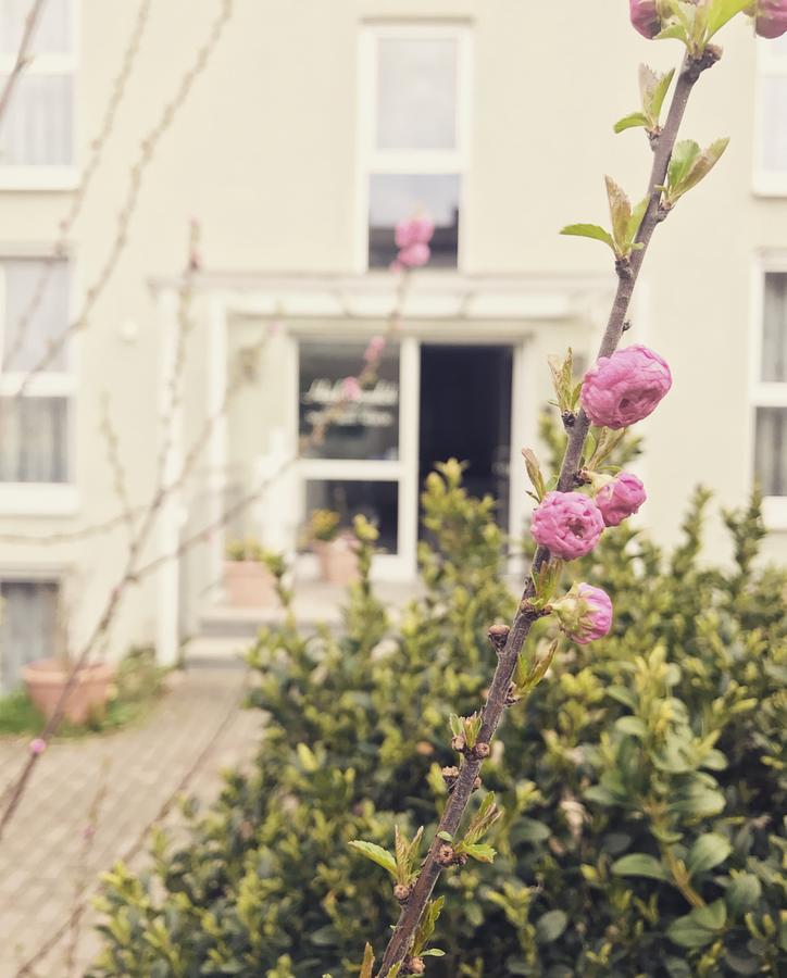 Gramlich Hotel 2*